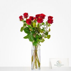 Losse rode rozen - 20001109