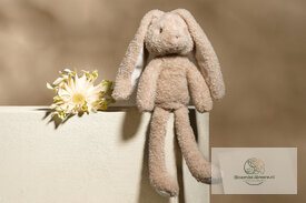 Knuffel konijn - 32 cm - 600398099