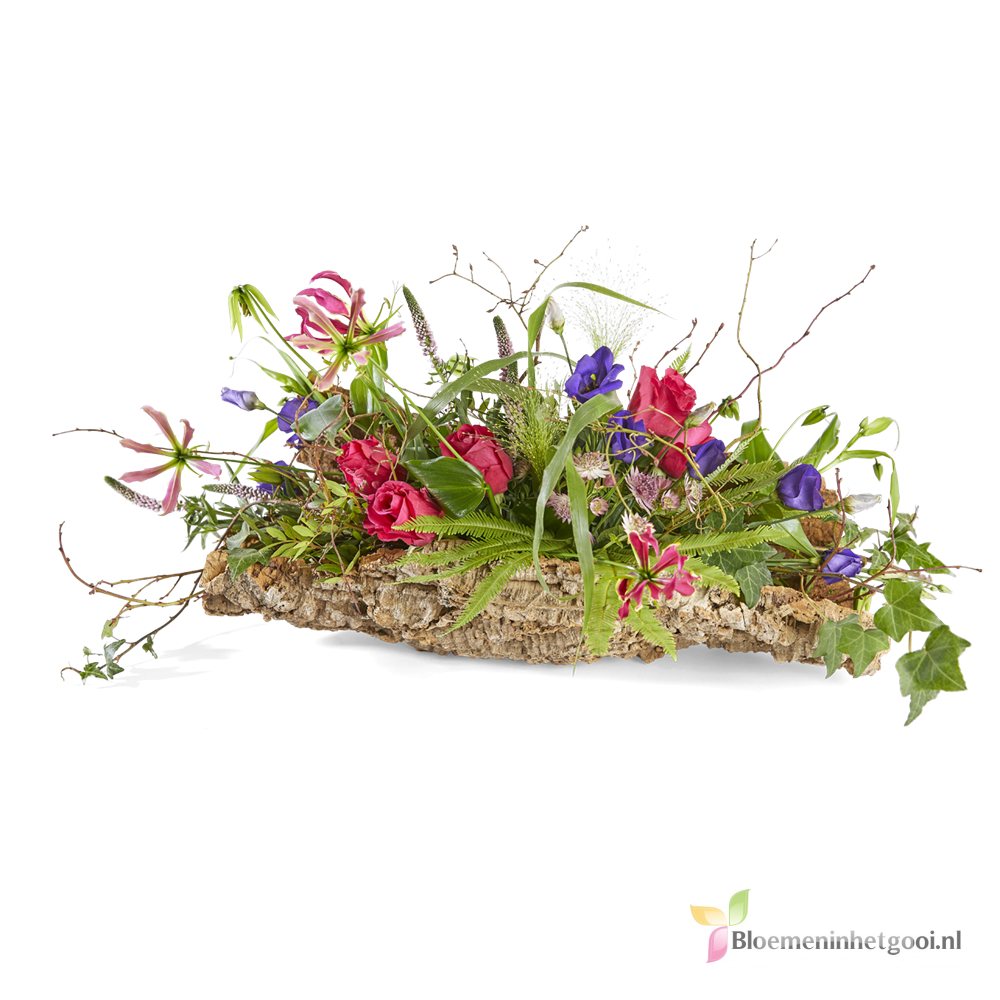 Eeuwige natuur - Gegroepeerd - 500877101