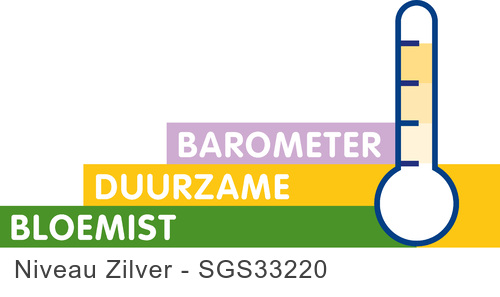 SGS33220 kleur kleine uiting